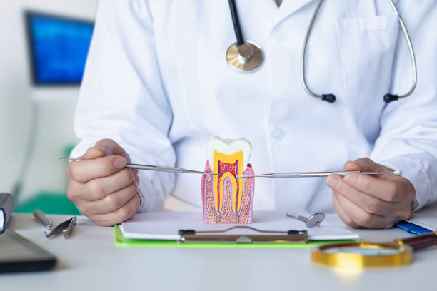 Best Emergency Orthodontic Repairs in Hockinson, WA